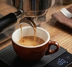 Coffee Extraction Process